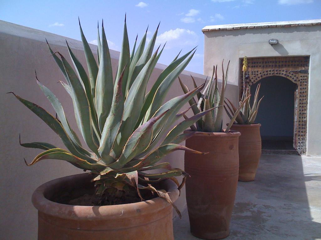 Riad Due Marrakesh Luaran gambar